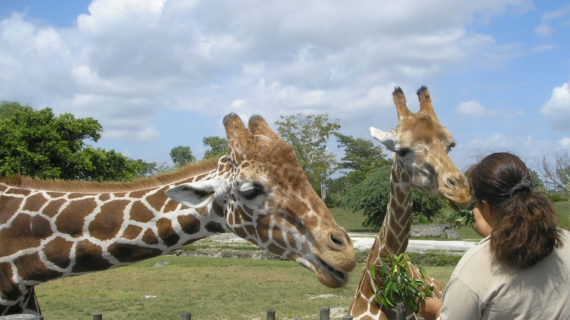 Zoo in Ontario